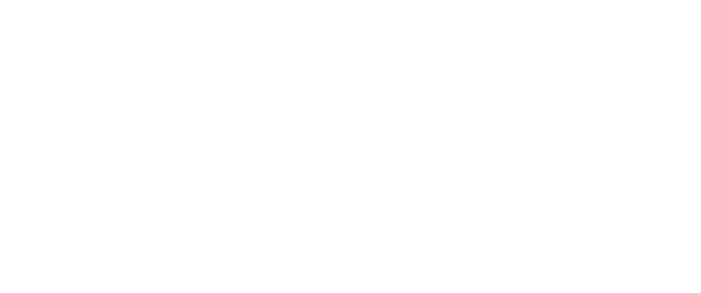 Logo Fiersport wit - WordPress ondersteuning van internetbureau Unique Design