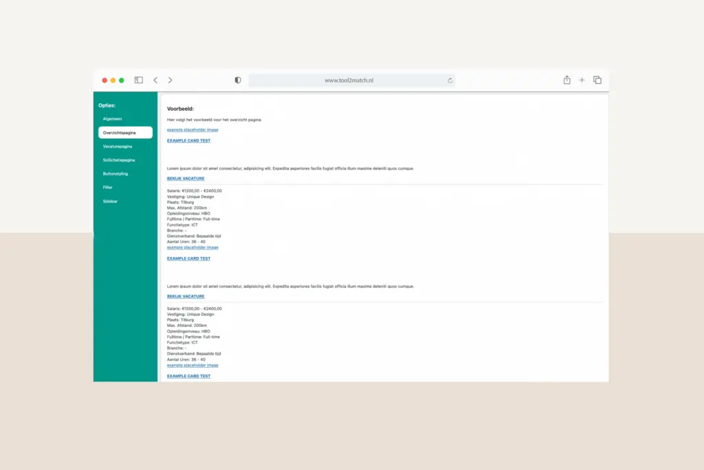Voorbeeldweergave van de Tool2Match-plugin met voorbeeldgegevens
